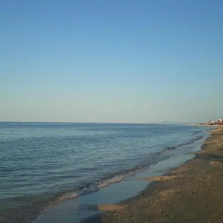 Maria Pia's *
